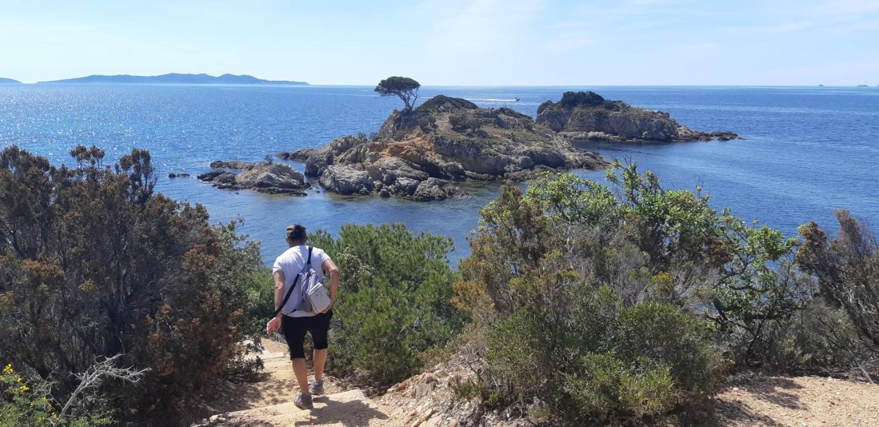 Roulotte Fenouillet Hotel Hyères Kültér fotó