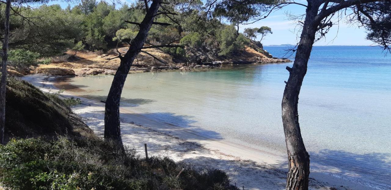 Roulotte Fenouillet Hotel Hyères Kültér fotó
