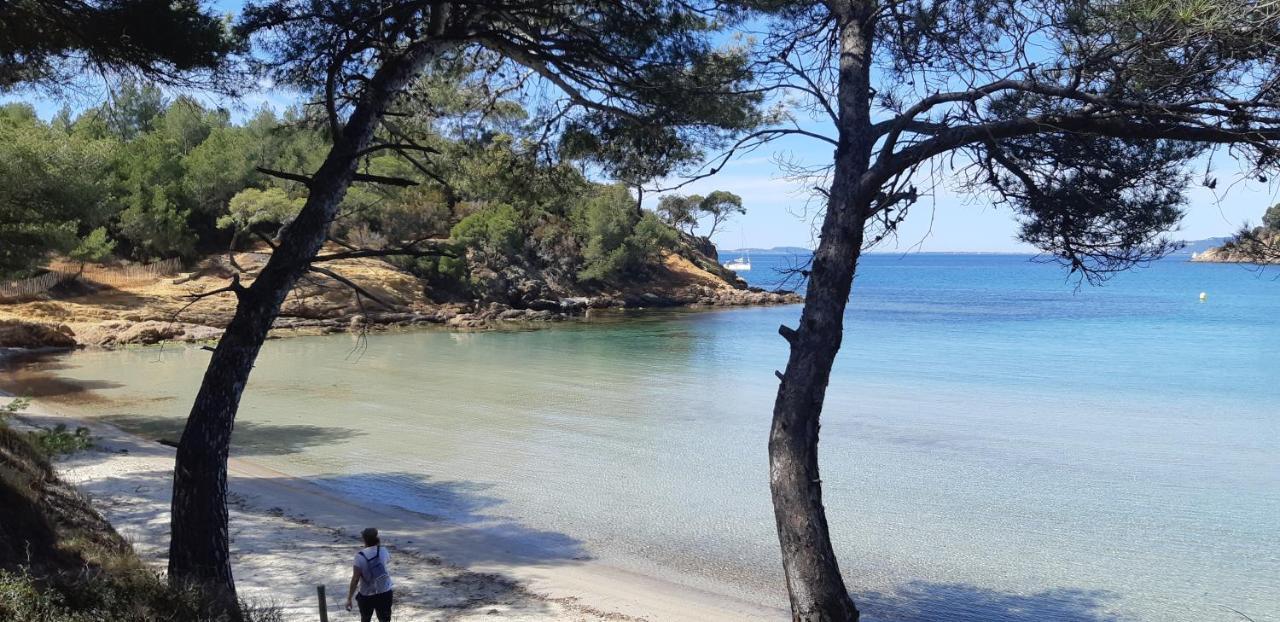 Roulotte Fenouillet Hotel Hyères Kültér fotó